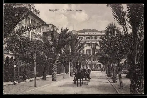 AK Rapallo, Viale delle Palme, Pferdekutsche