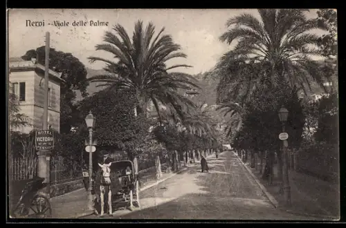 AK Nervi, Viale delle Palme