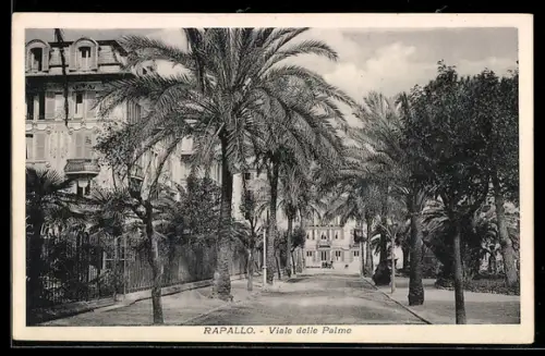 AK Rapallo, Viale delle Palme