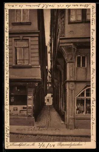 AK Alt-Frankfurt, Rapunzelgässchen aus der Vogelschau