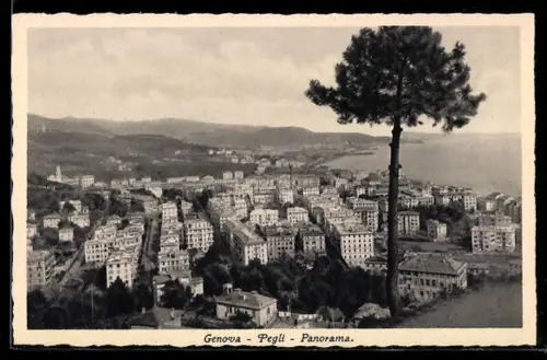 AK Pegli /Genova, Panorama