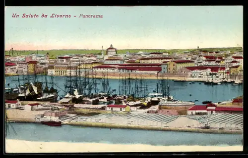 AK Livorno, Un Saluto da Livorno, Panorama