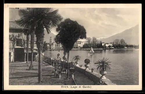 AK Riva /Lago di Garda, Vista sul lago con barca a vela e palme