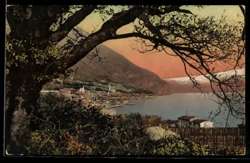 AK Gargnano /Lago di Garda, Vista panoramica del lago al tramonto con alberi in primo piano
