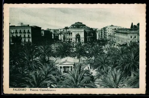 AK Palermo, Piazza Castelnuovo con palme e edifici storici