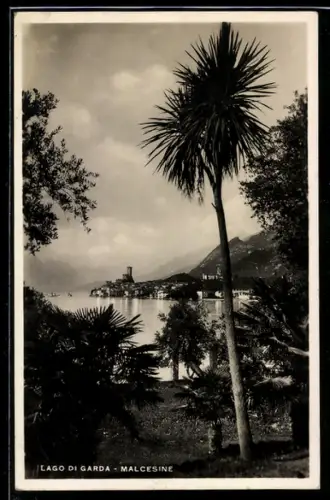 AK Malcesine /Lago di Garda, Vista del castello con palme in primo piano