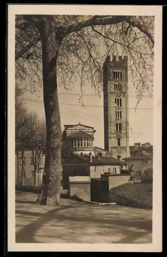 AK Lucca, Chiesa di S. Frediano, L`interno