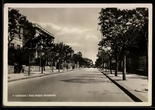 AK Catania, Viale Regina Margherita, vista alberata della strada