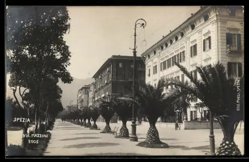 AK Spezia, Via Mazzini con palme e edifici storici