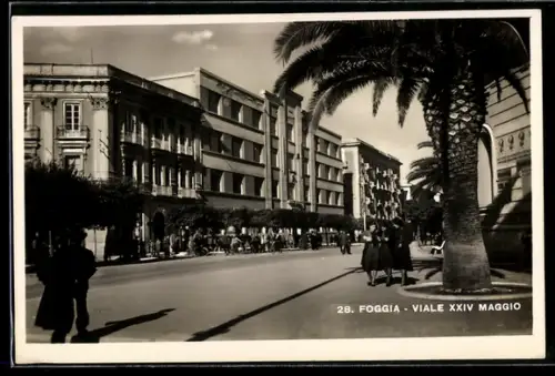 AK Foggia, Viale XXIV Maggio con palme e pedoni