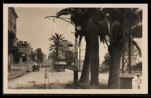 AK S. Remo /Corso Imperatrice, Tram tra le palme lungo il viale