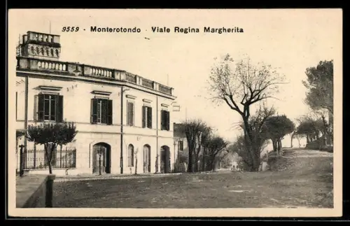AK Monterotondo, Viale Regina Margherita