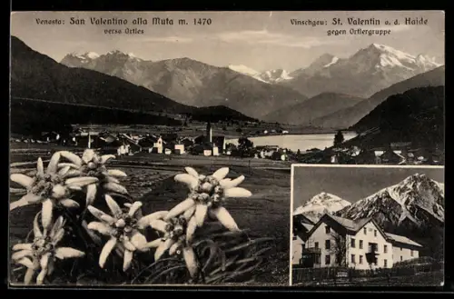 AK St. Valentin a.d. Haid, Pensione Hans Stocker, Ortsansicht