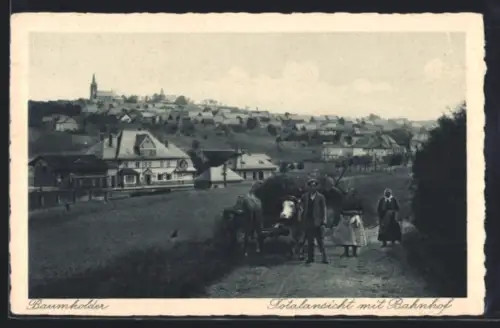 AK Baumholder, Totalansicht mit Bahnhof, Bauern mit Ochsenwagen