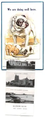 Leporello-AK Aldeburgh, The Moot Hall, Lodge School and Parish Church