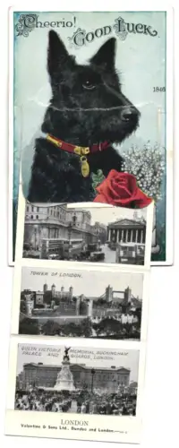 Leporello-AK London, St. Paul`s Cathedral, Bank of England, and Royal Exchange