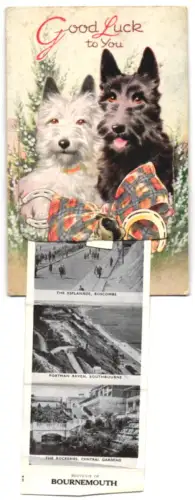 Leporello-AK Bournemouth, The Central Gardens, Boscombe from the Sea, and The Rest Gardens