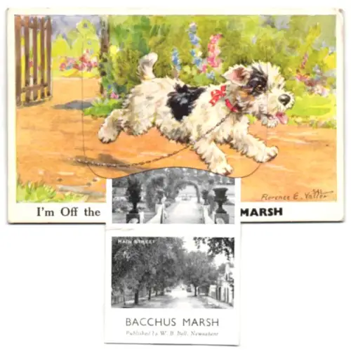 Leporello-Künstler-AK Florence E. Valter: Bacchus Marsh, Anthony`s Cutting, The Gardens, Main Street