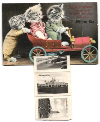 Leporello-AK Whitley Bay, The Spanish City, The Bay, and St. Mary`s Lighthouse