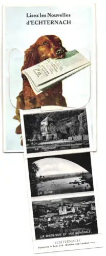 Leporello-AK Echternach, Le Pavillon, La Sûre, La Basilique et vue générale