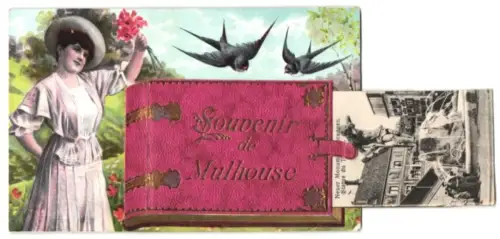 Leporello-AK Mulhouse, Zoologischer Garten, Wildemannstrasse