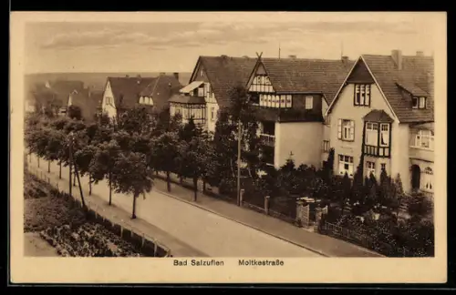 AK Bad Salzuflen, Moltkestrasse mit Bäumen
