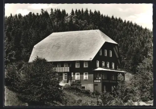 AK Hornberg /Schwarzwald, Höhen-Gasthaus Schöne Aussicht, Inh. Albert Duffner