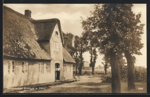 AK Nieblum a. Föhr, Reetgedecktes Haus, Allee