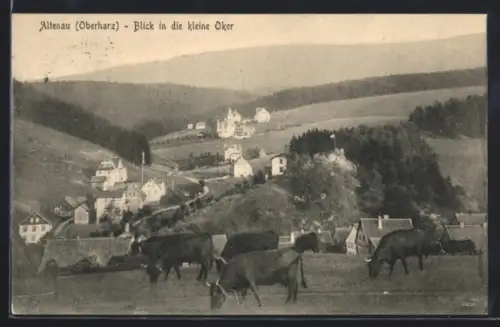 AK Altenau /Oberharz, Blick in die kleine Oker