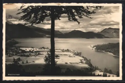 AK Walchensee, Seeufer und Bergpanorama