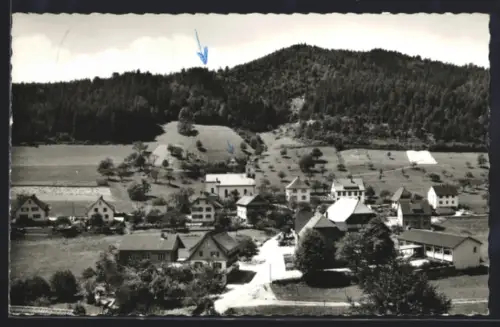 AK Niederwasser /Schwarzwald, Ortsansicht mit umliegenden Bergen und Wohnhäusern
