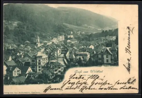 AK Wildbad, Gesamtansicht des Ortes im Tal