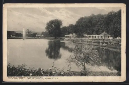 AK Zweibrücken, Rosengarten, Springbrunnen