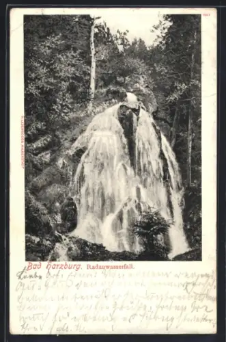 AK Bad Harzburg, Partie am Radauwasserfall mit umgebendem Wald