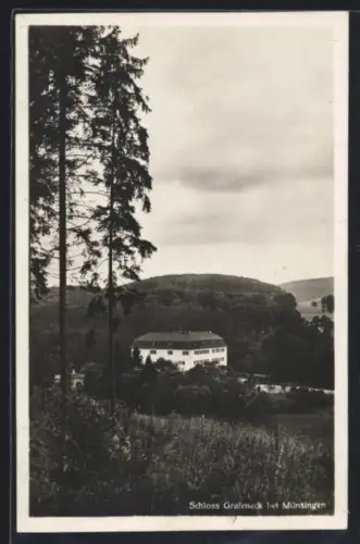 AK Münsingen, Schloss Grafeneck mit umgebendem Wald