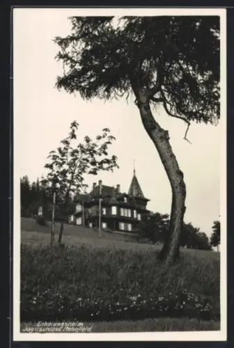 AK Altenberg i. Sachsen, Erholungsheim Jagdschloss Rehefeld in der Aussenansicht mit angrenzendem Wald