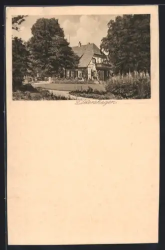 AK Detershagen, Villa mit idyllischem Garten und Bäumen