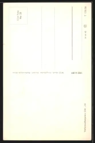 AK Halberstadt / Harz, Domplatz