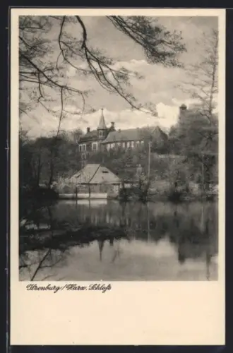 AK Ilsenburg /Hartz, Schloss in der Aussenansicht mit Teich