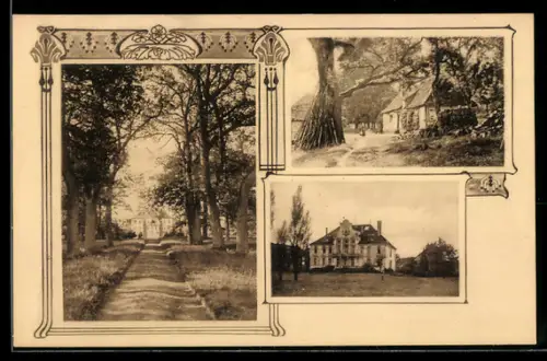 AK Neustadt /Rübenberge, Waldpartie mit Blick zum Schloss Poggenhagen, diverse Ansichten