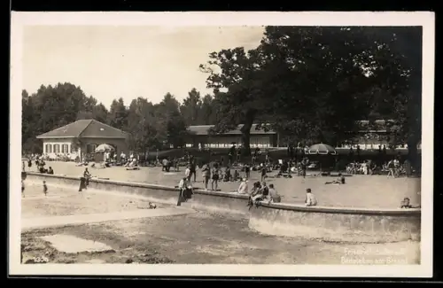 Foto-AK Friedrichshafen a. B., Partie am Standbad mit Grünanlagen