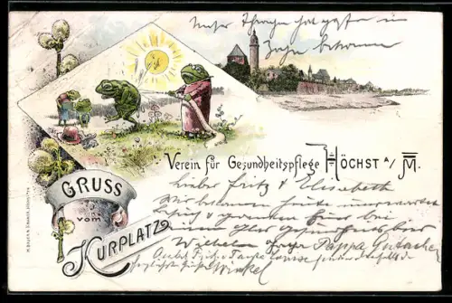 AK Höchst a. M., Kurplatz, Verein für Gesundheitspflege, Frösche spritzen sich mit kaltem Wasser ab