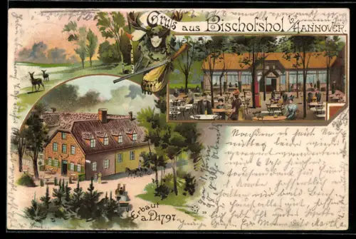 Lithographie Hannover, Partie von der Terrasse des Bischofshofes, Waldpartie