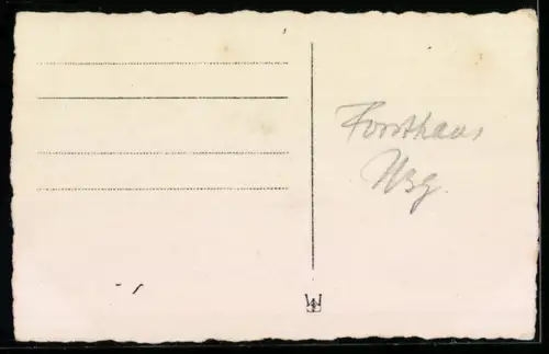 Foto-AK Usingen, Forsthaus mit Garten