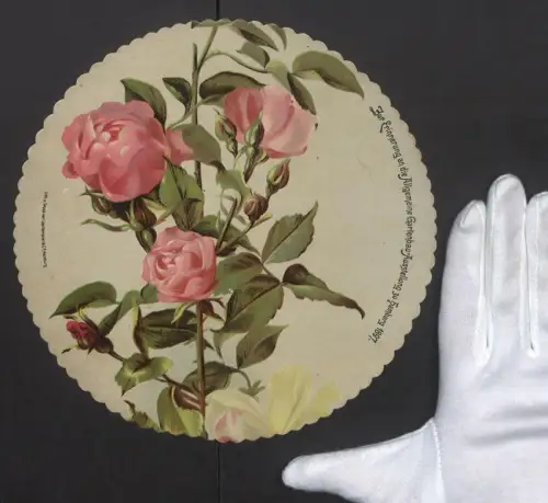 Riesen-AK Hamburg, Allgemeine Gartenbau-Ausstellung 1897, blühender Rosenstock