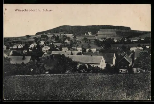 AK Wünschendorf b. Lohmen, Ortsansicht mit Feldern
