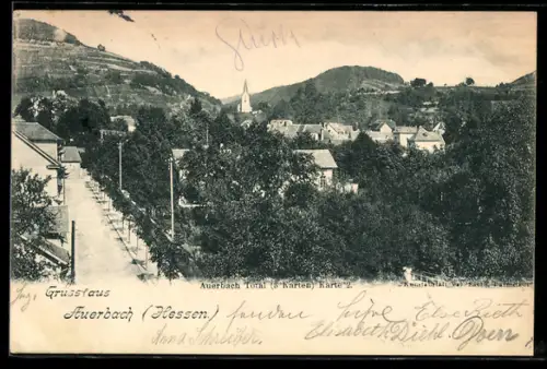 AK Auerbach /Hessen, Ortsansicht mit Strasseund Weinbergen