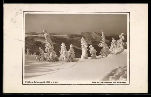 AK Feldberg /Schwarzwald, Blick auf Herzogenhorn und Silberberg, Winteransicht