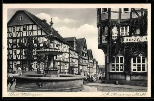 AK Bad Wildungen, Alte Häuser am Markt, Löwen-Apotheke, Brunnen