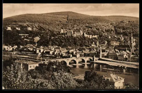AK Heidelberg, Schloss, Alte Brücke, Stadtansicht vom Philosophenweg